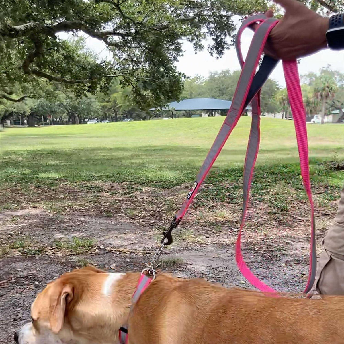 6 ft Dog Leash S651622