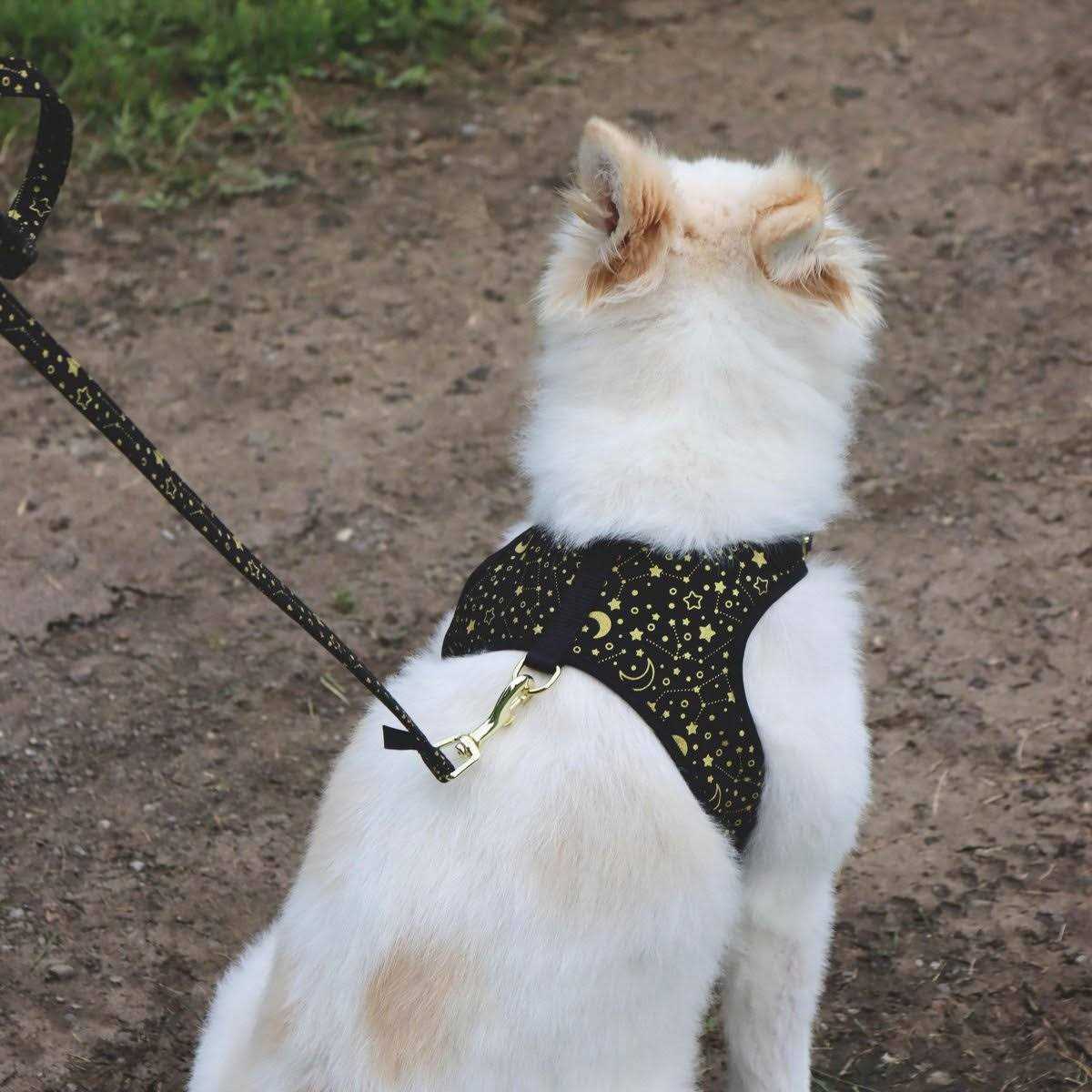 Adjustable Metallic Dog Harness I2904