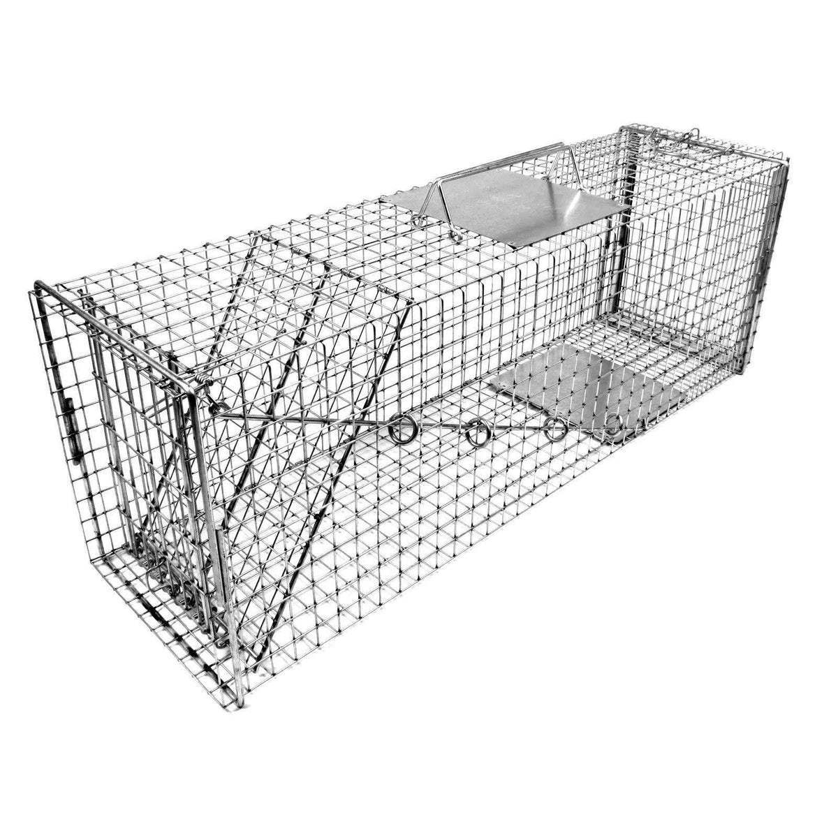 Cat Trap I15368