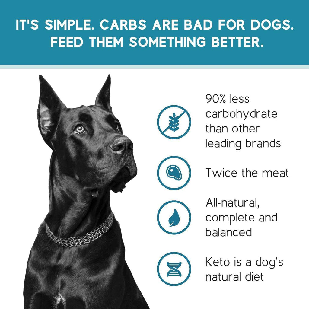 Chicken Recipe Adult Dry Dog Food Low Carb High Protein D647