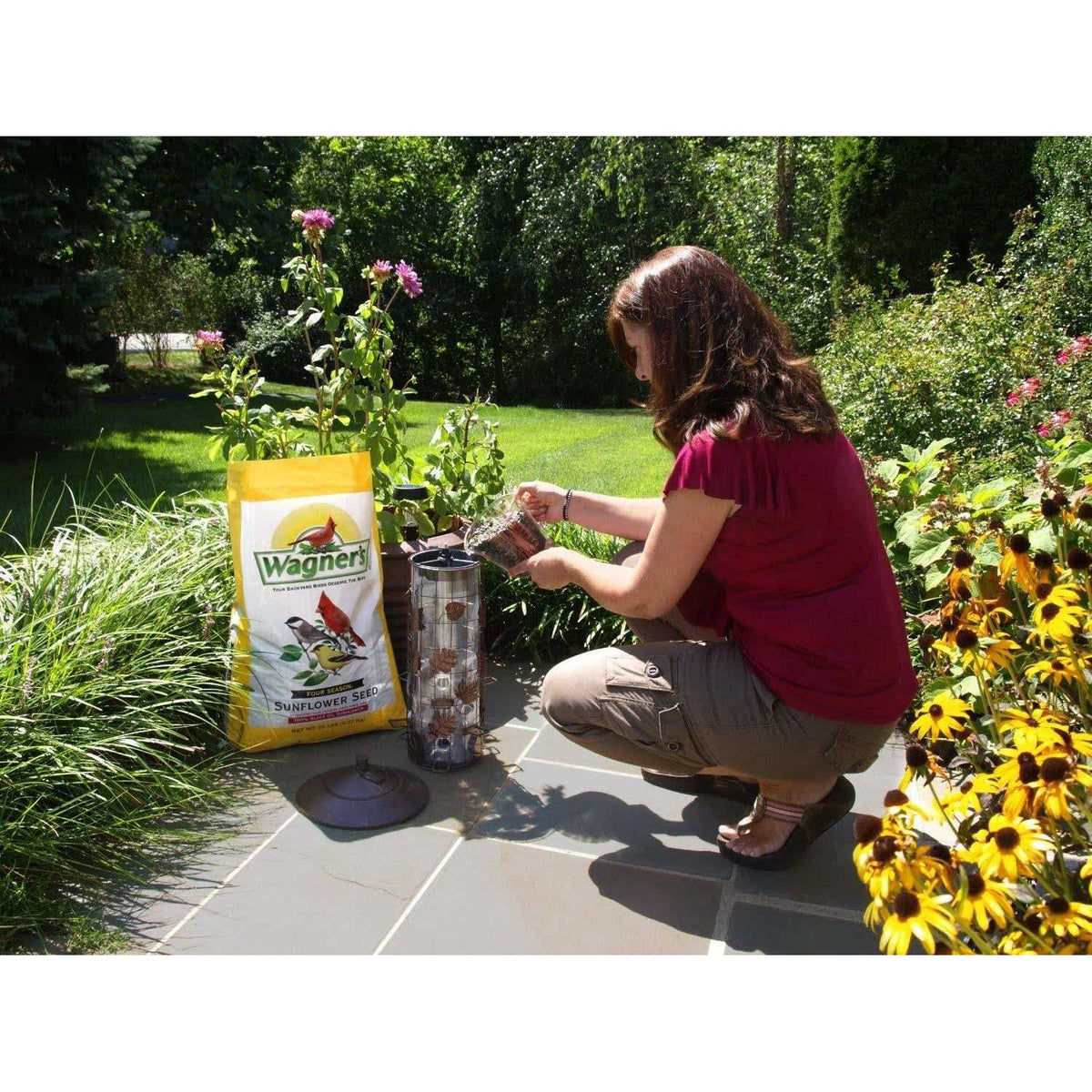 Black Oil Sunflower Seed K94136