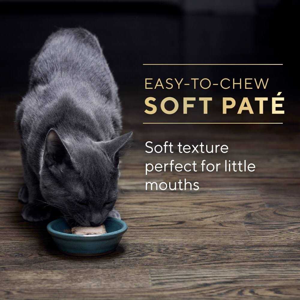 Wet Kitten Food Pate X46107