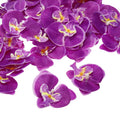 80Pack 2.8" Artificial Silk Butterfly Orchid Flower Heads Dark Purple M87926