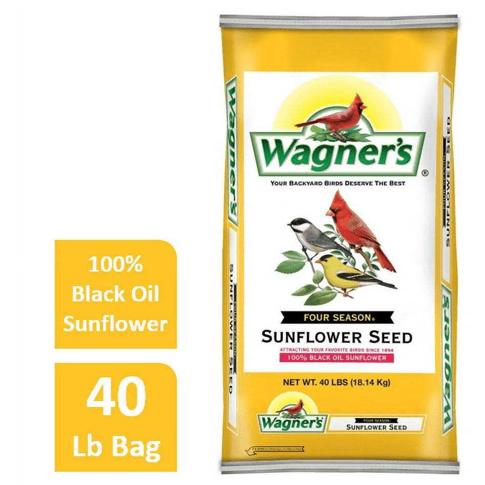 Black Oil Sunflower Seed K94136