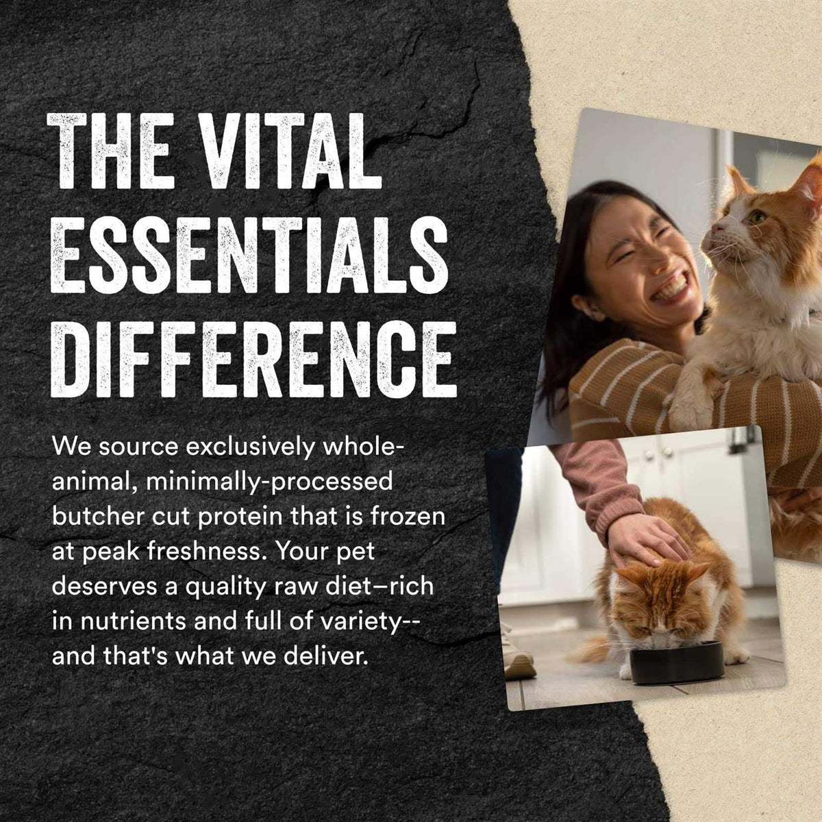 Freeze-Dried Rabbit Bites Cat Treats J122333