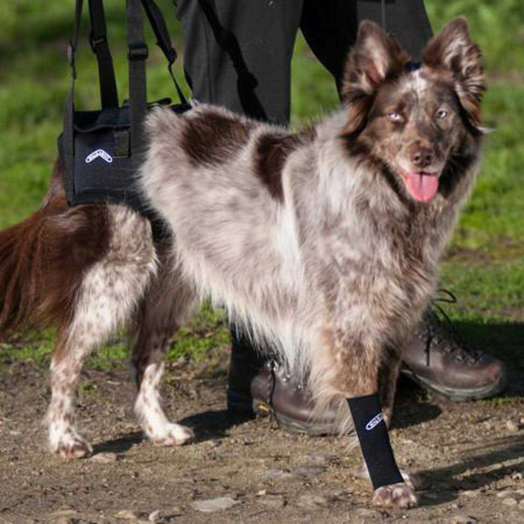 Support Harness N5453