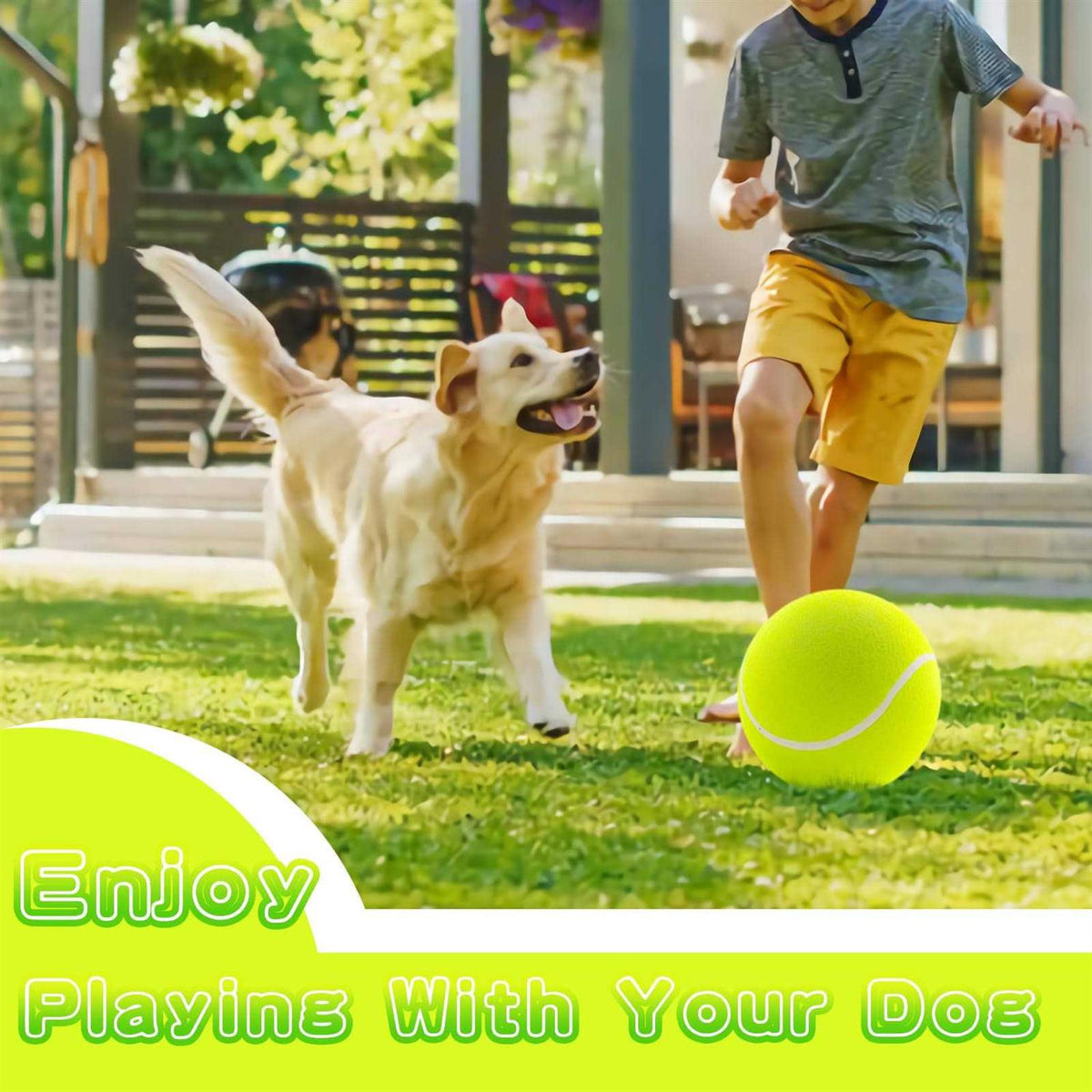 Dog Tennis Ball Pet Toys O700960