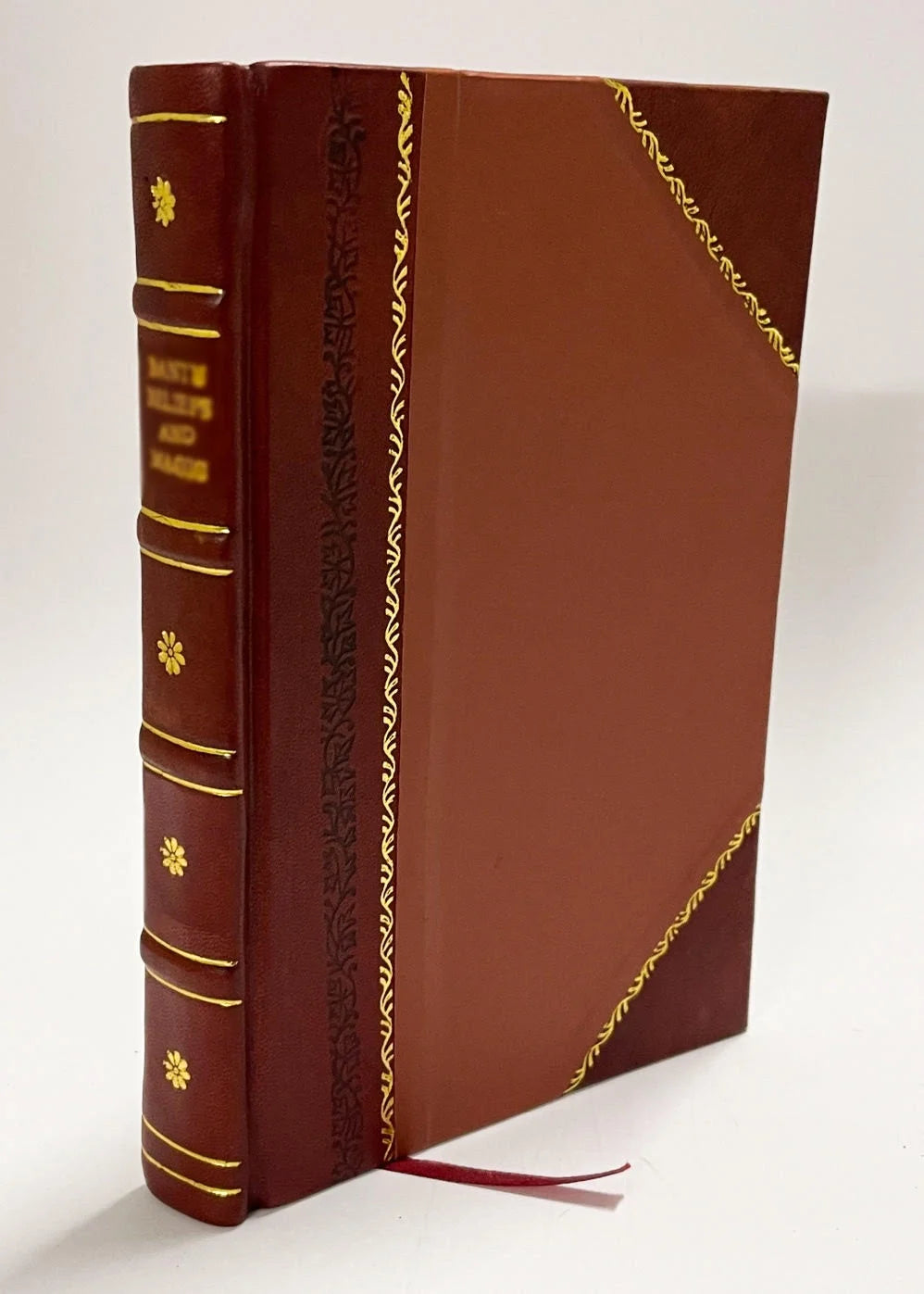 Leather Bound Book O585
