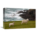 Sheep & Lamb Art Print O7634