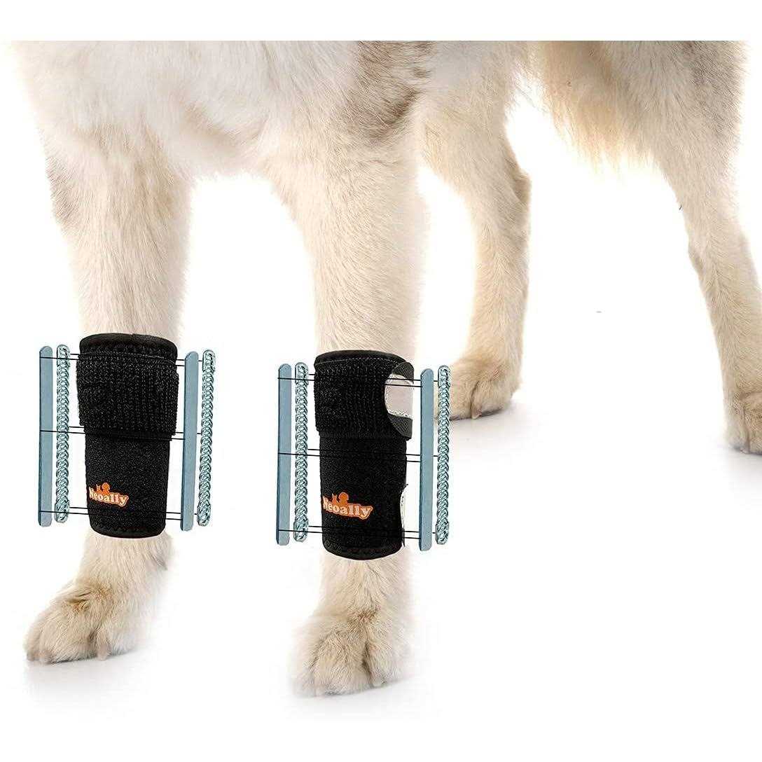 3-in-1 Dog Front Leg Support Brace C35637