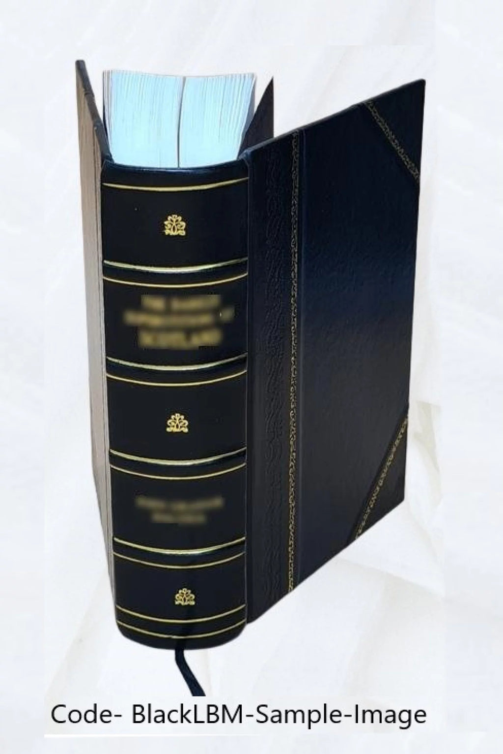 Leather Bound Book D961131