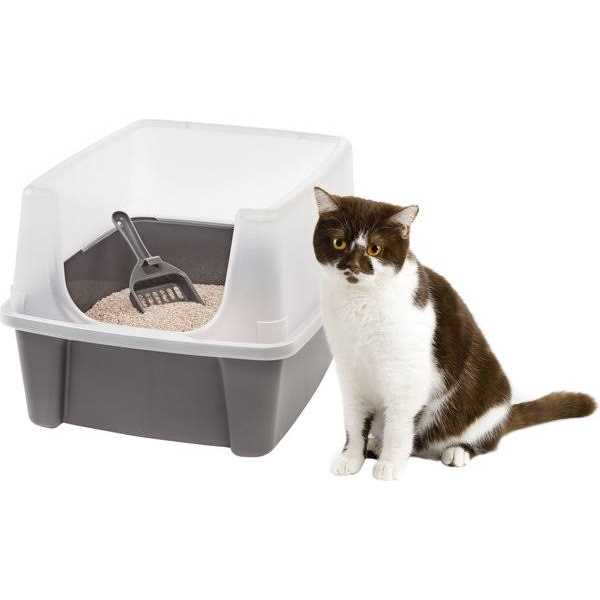 Open Top Cat Litter Box with Shield and Scoop K162619
