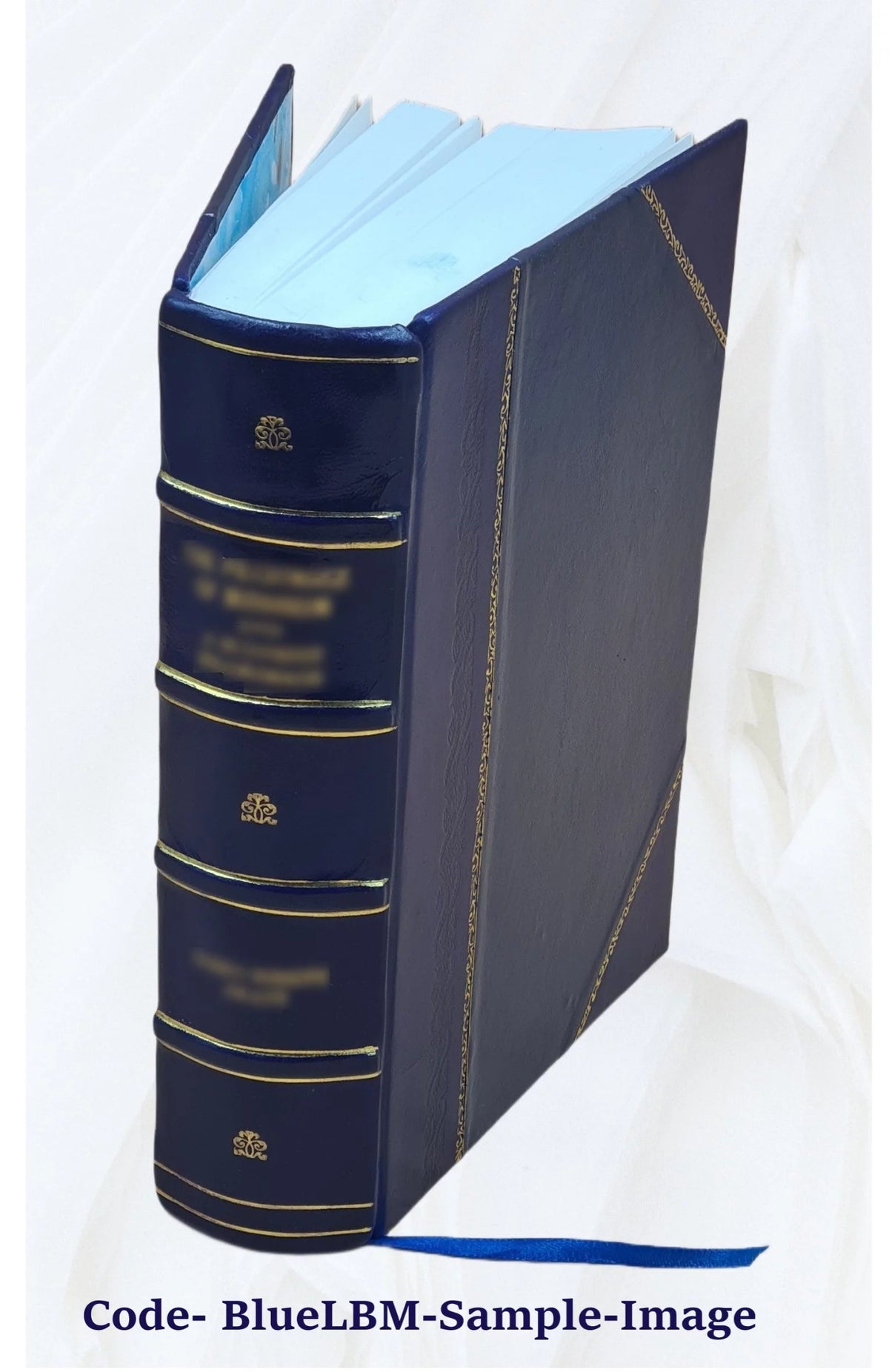 Leather Bound Book D961131