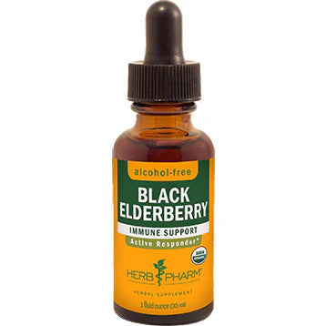 Black Elderberry U277