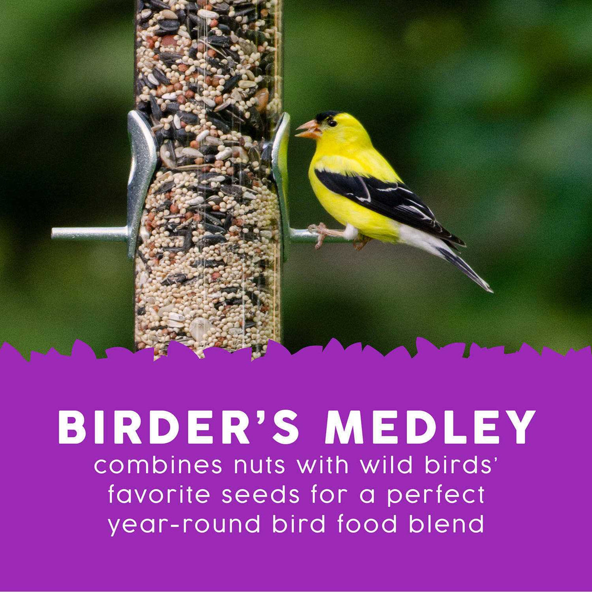 Wild Bird Food I35155