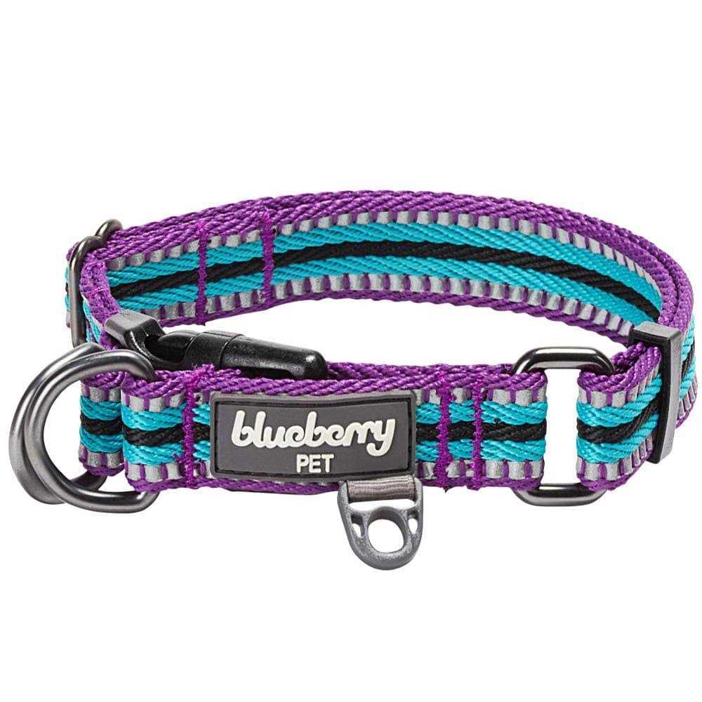 Multi-Colored Stripe Dog Collar N71305
