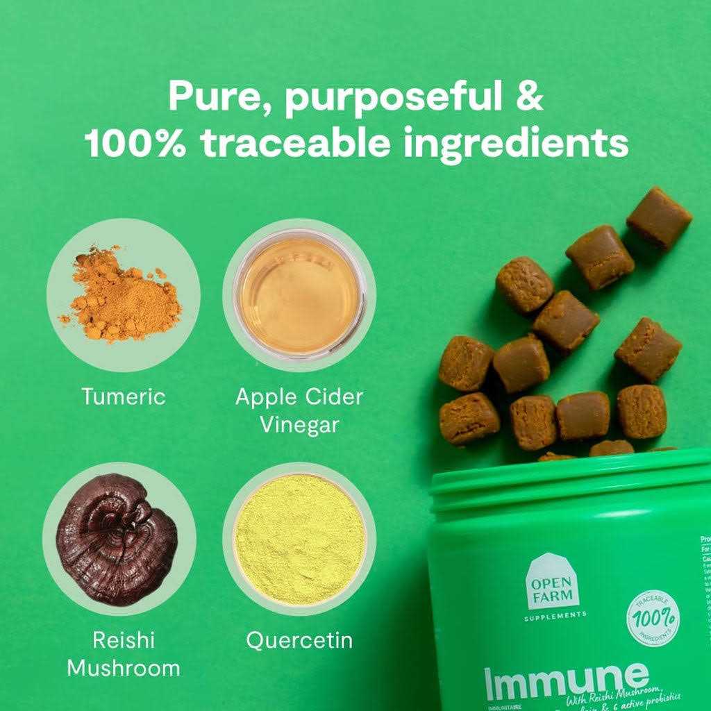 Dog Supplement Immune Chews H395849