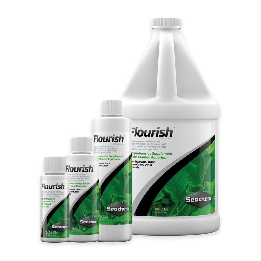 Flourish E3981