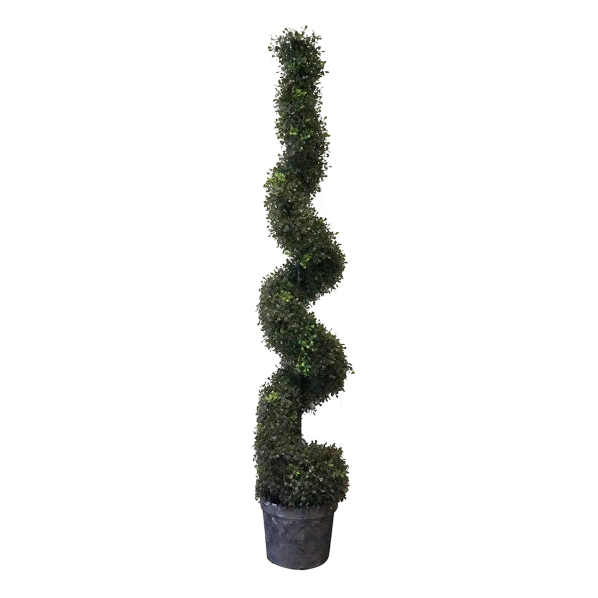 Artificial Spiral Boxwood Topiary Tree 5' C946