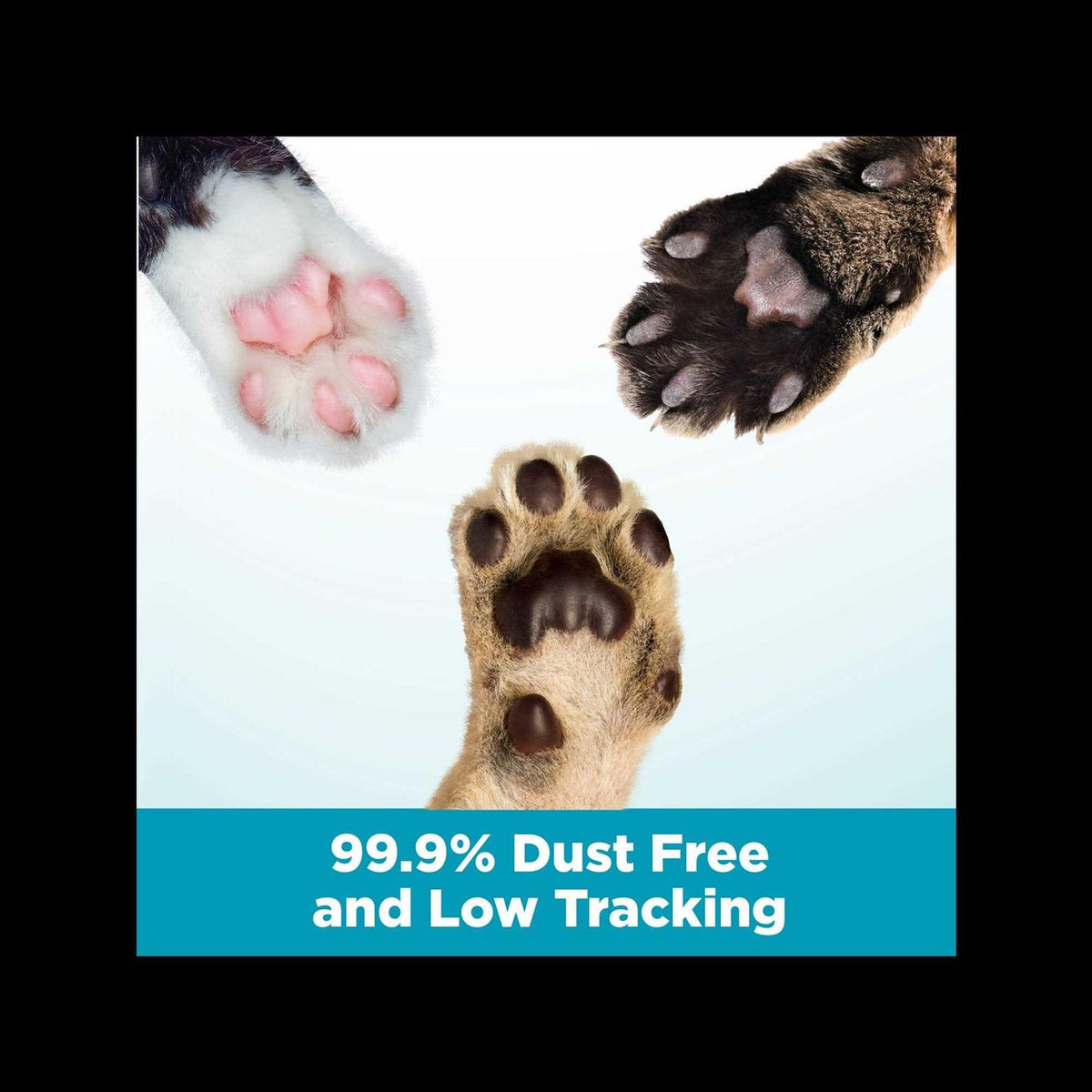 Cloud Control Clumping Multi-Cat Litter B218