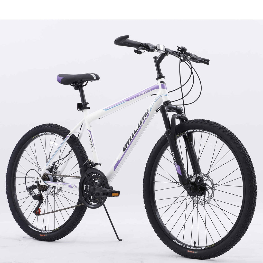 Purple 21-Speed 26 Inch Mountain Bike R194745