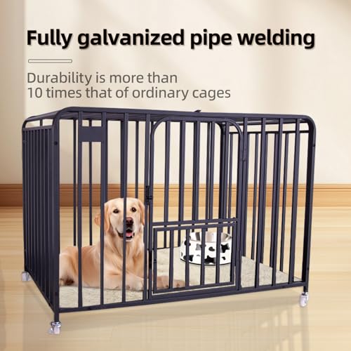 XL Heavy Duty Pet Crate J900