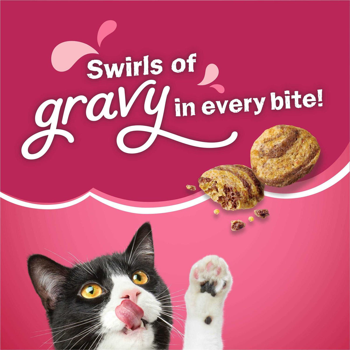 Dry Cat Food D57844