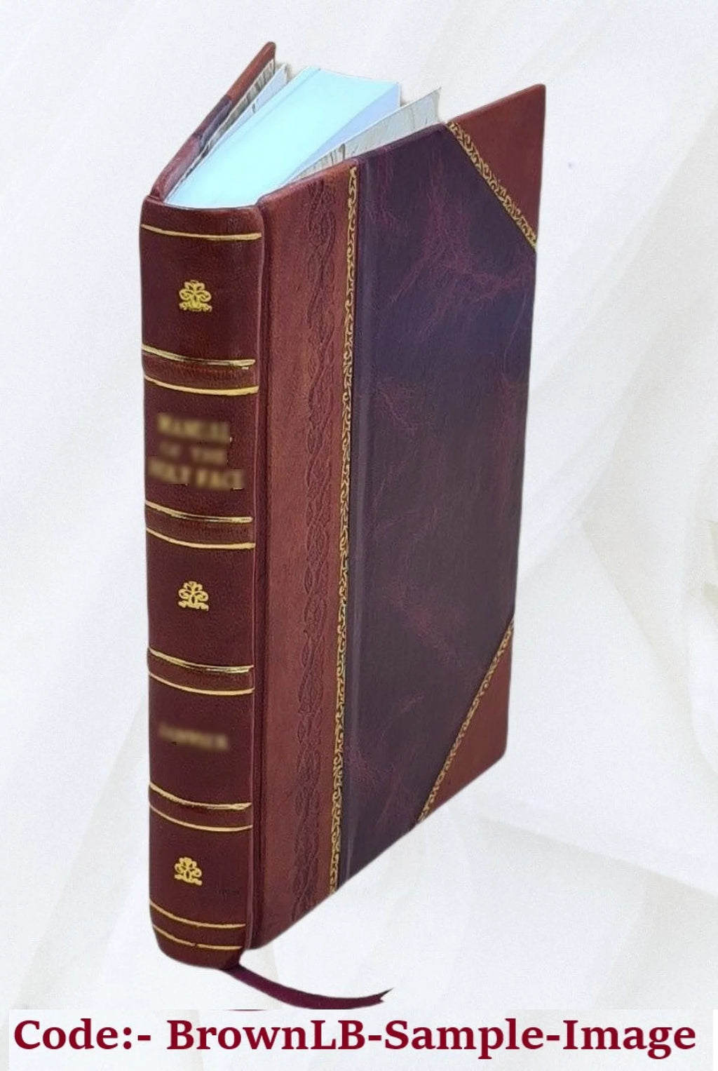 Essays on the Spirit of Legislation D372