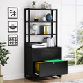 2 Drawer File Cabinet with Lock P360