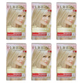 1 Application Hair Color - Pack of 6 E863624