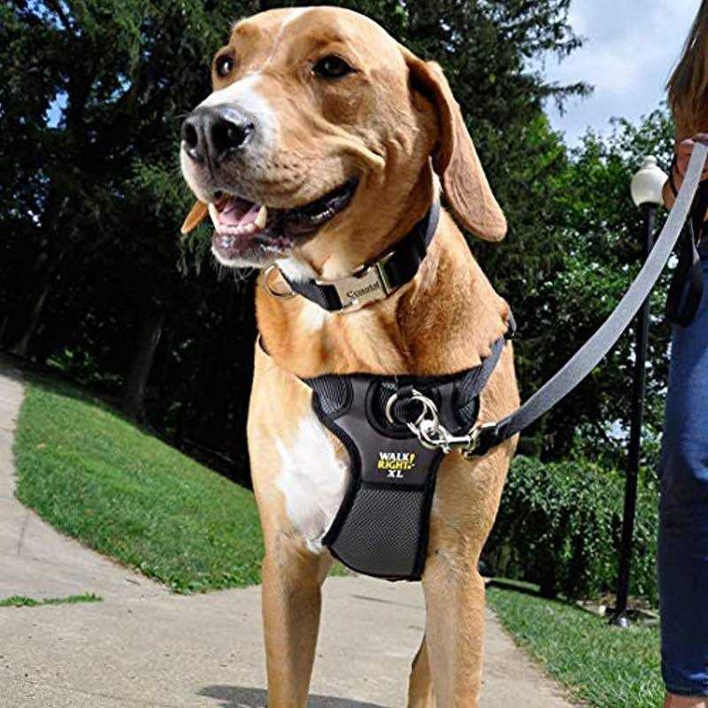 Padded Harness A9162
