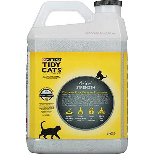 Scented Clumping Clay Cat Litter 20-lb Case of 2 J208