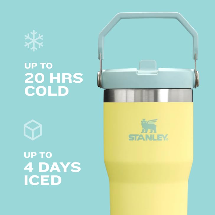 Cream Stainless Steel Vacuum Insulated Tumbler with Straw K136