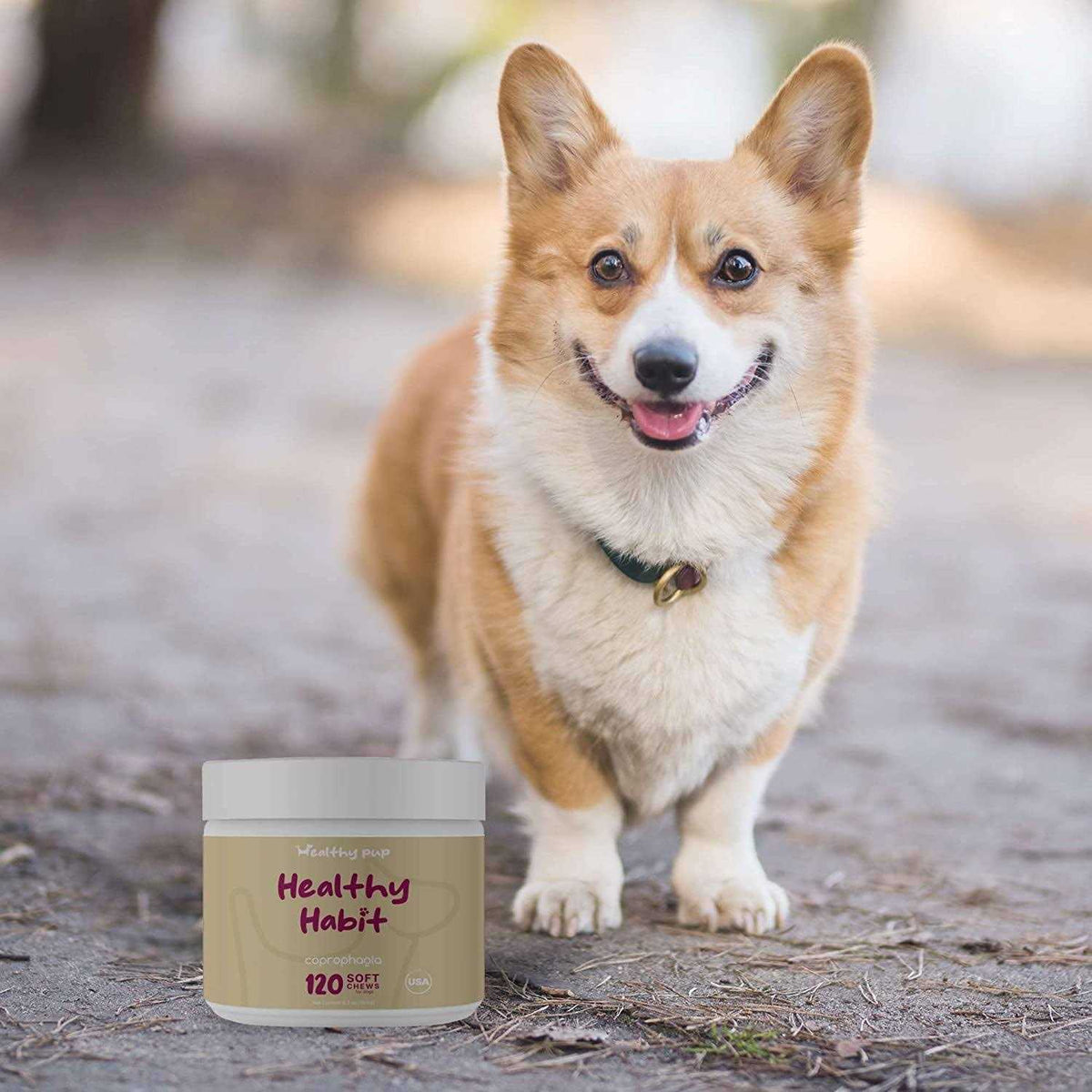 Coprophagia Supplement for Dogs E950