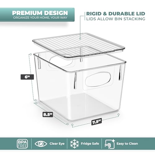 Small Plastic Storage Bins (2 pack) B23102