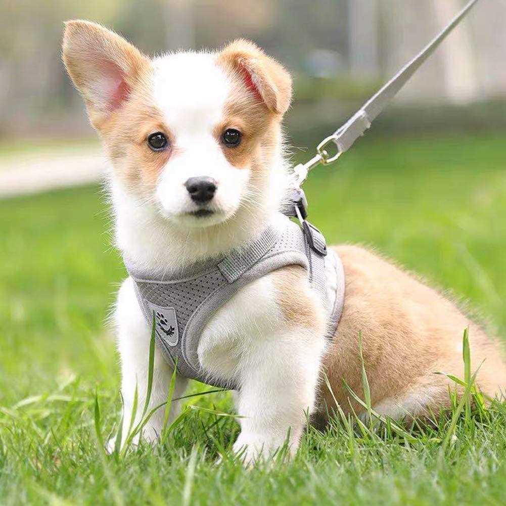 No-Pull Soft Mesh Reflective Adjustable Dog Harness and Leash Set X6595