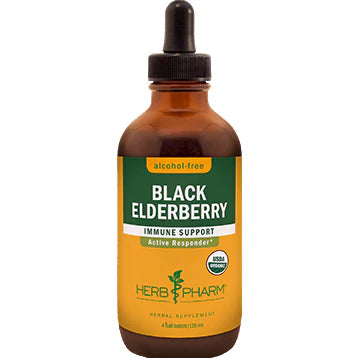 Black Elderberry U277