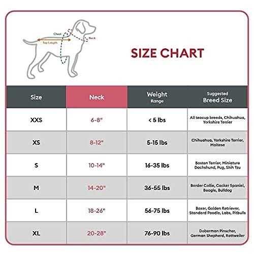 Dog Collar Z21239