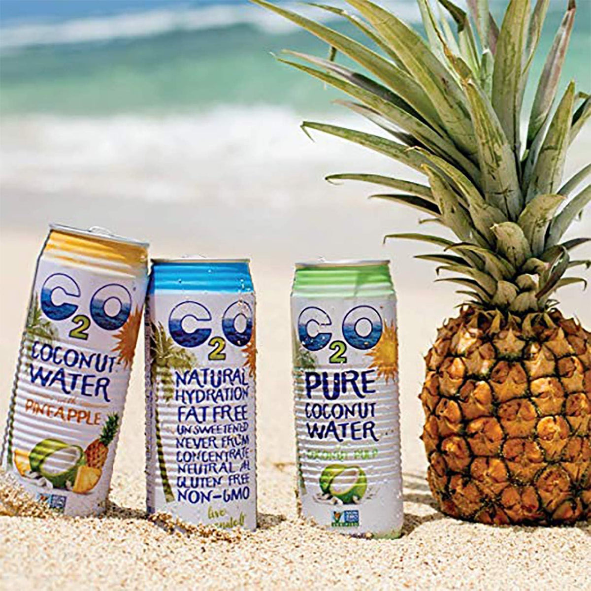 17.5 FL OZ Pack of 12 Pure Coconut Water M693182