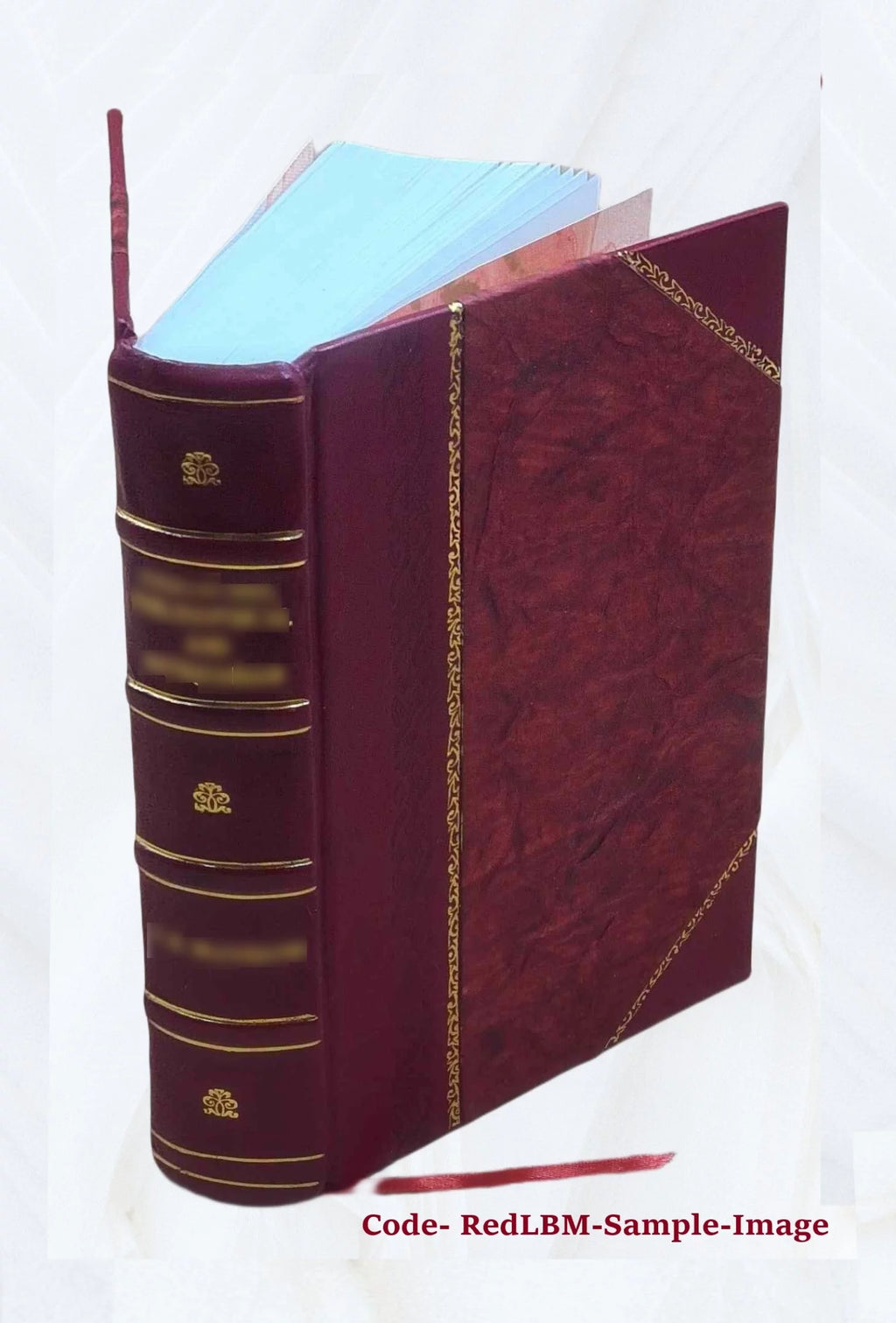 Leather Bound Book D961131