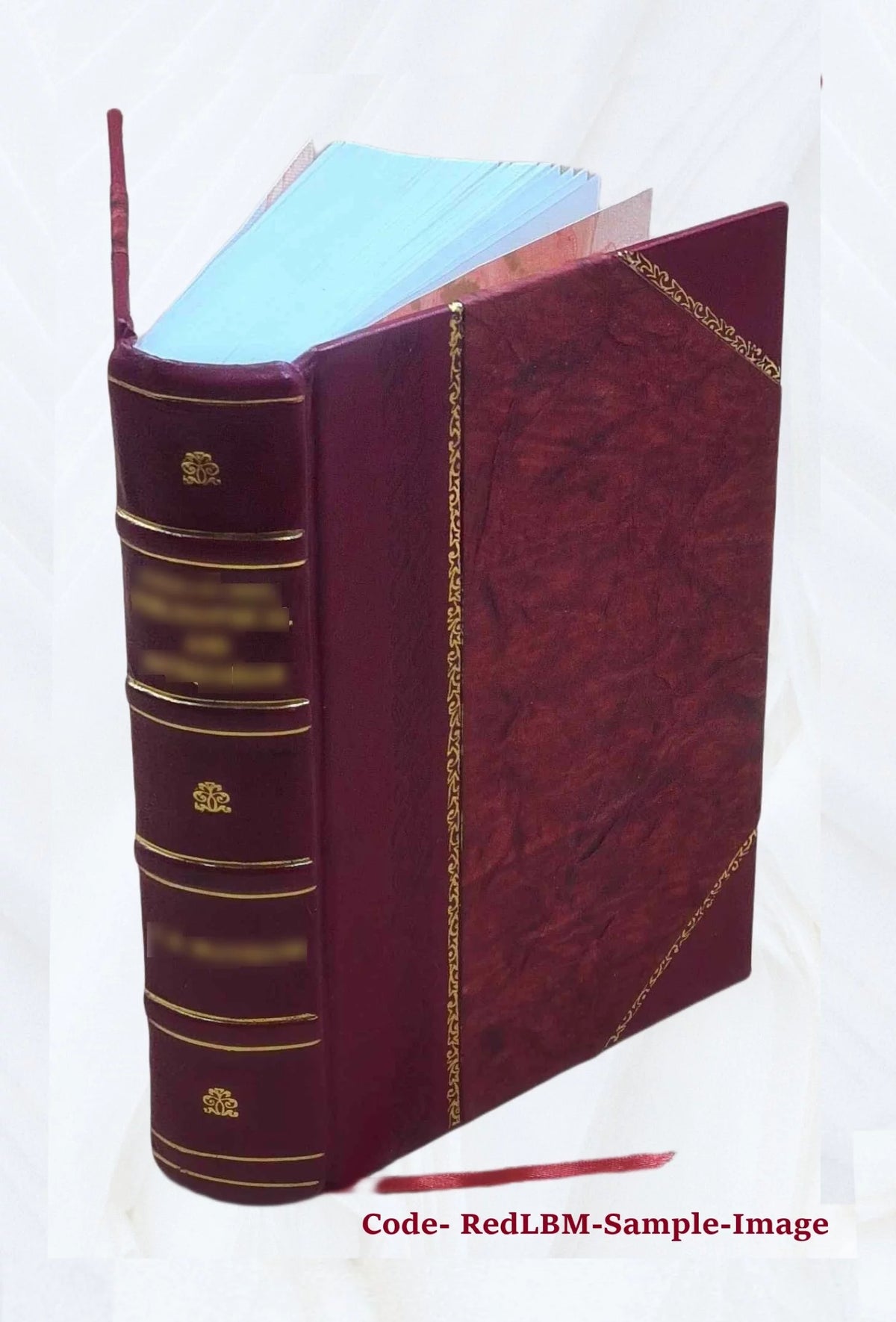 Leather Bound Book D961131