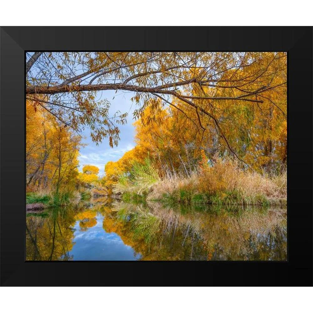 Black Framed Museum Art Print L70793