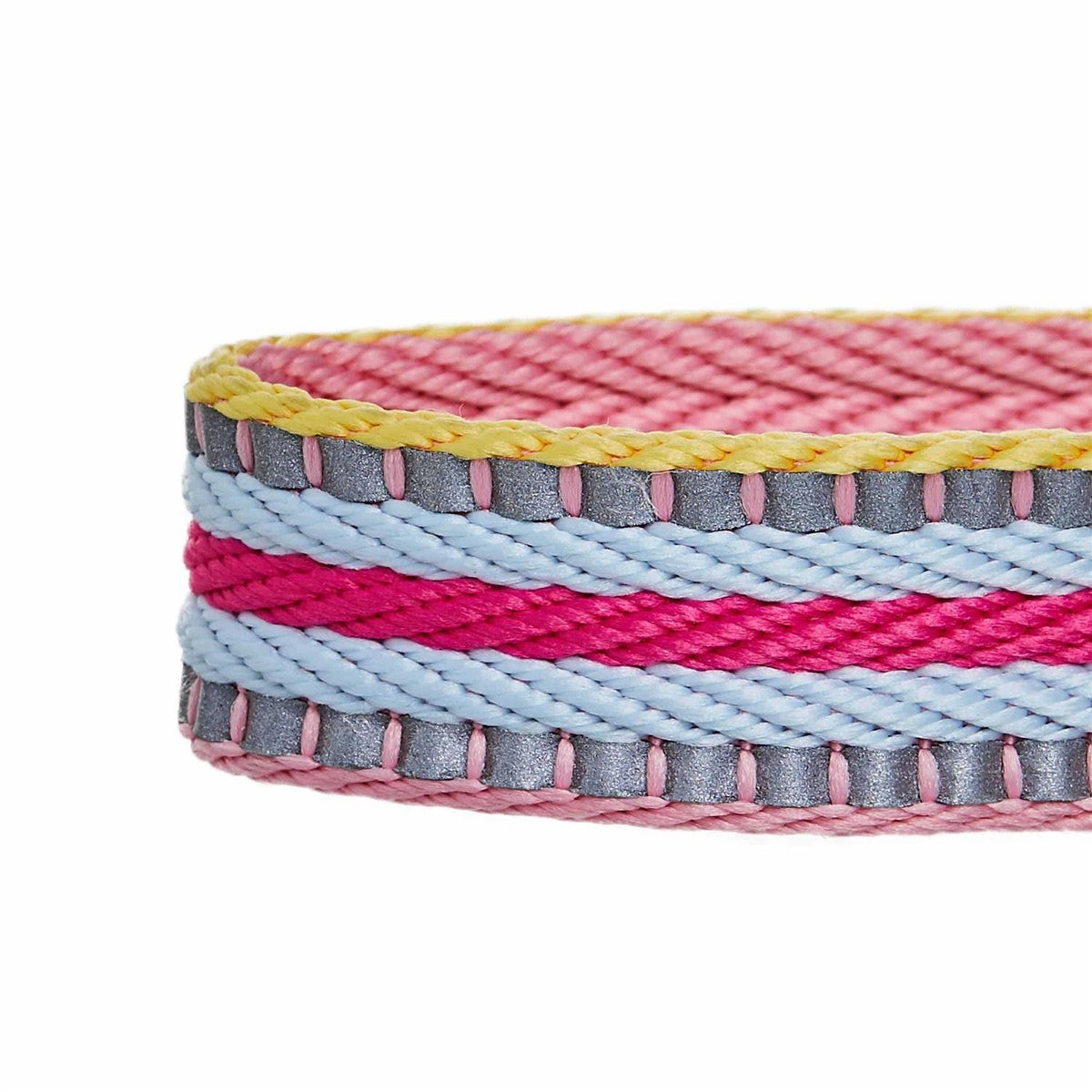 Multi-Colored Stripe Dog Collar N71305