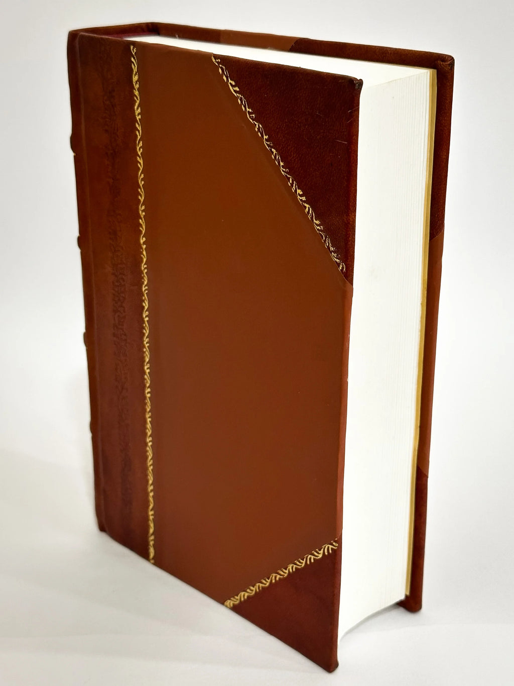 Leather Bound Book O585