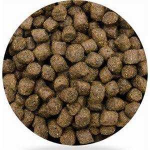 Dog Food L118