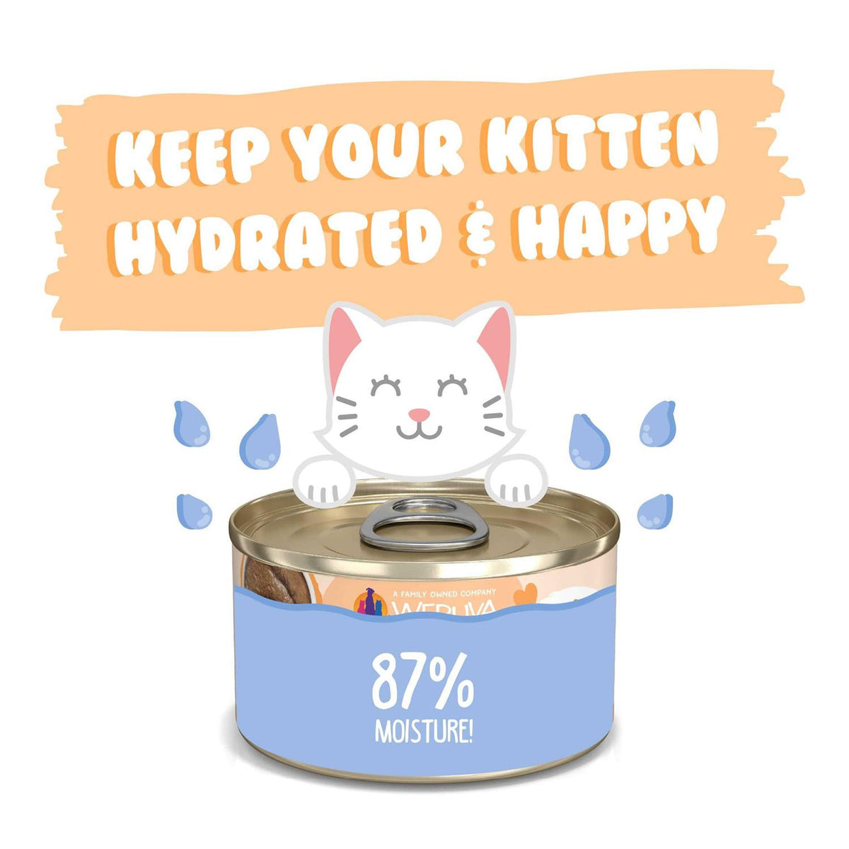 Kitten Tuna & Salmon Formula Cat Food Y28324