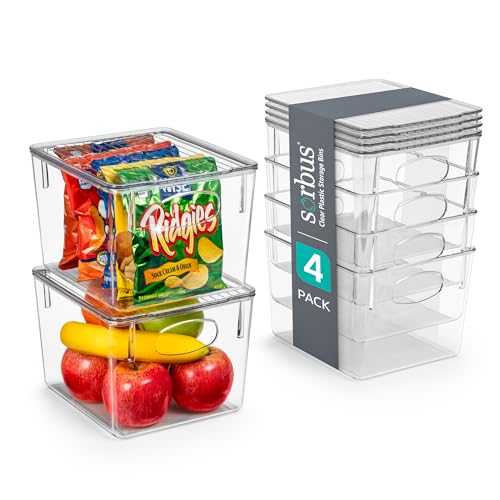 Small Plastic Storage Bins (2 pack) B23102