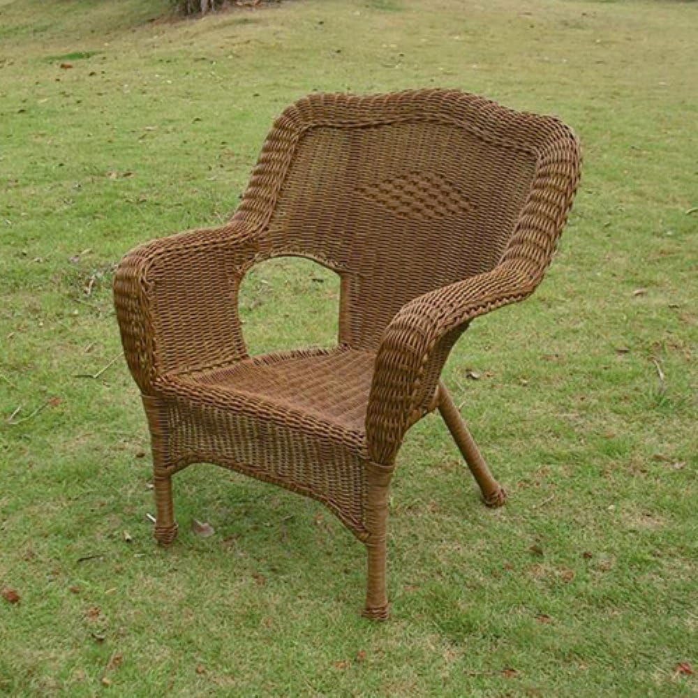 Camelback Resin Wicker Patio Chairs (Set of 2) V3002