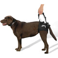 Support Harness N5453
