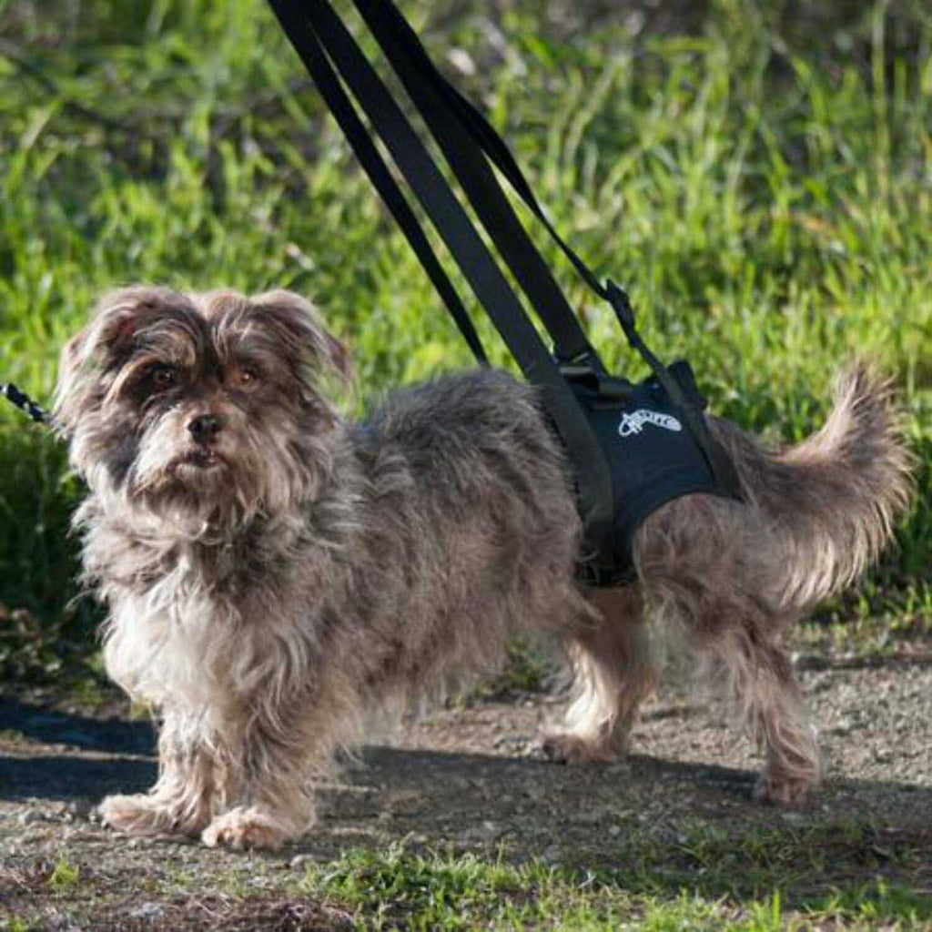 Support Harness N5453
